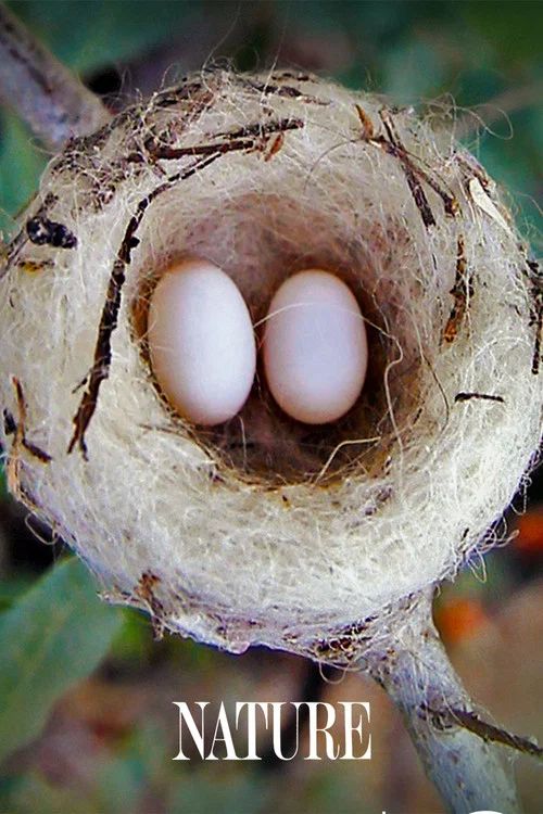 Nature: Temporada 45