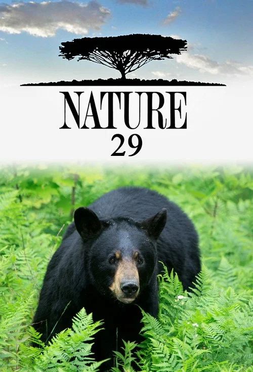 Nature: Temporada 29