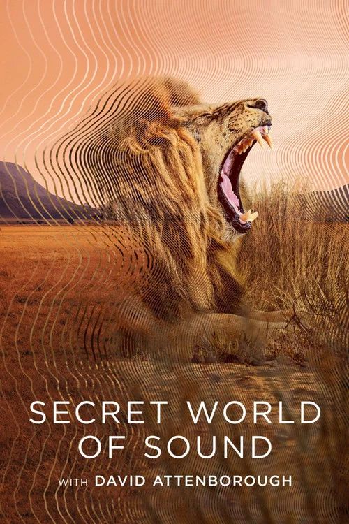 Secret World of Sound: Temporada 1