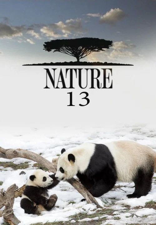 Nature: Temporada 13