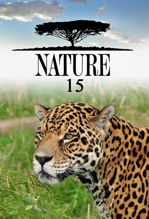 Nature: Temporada 15
