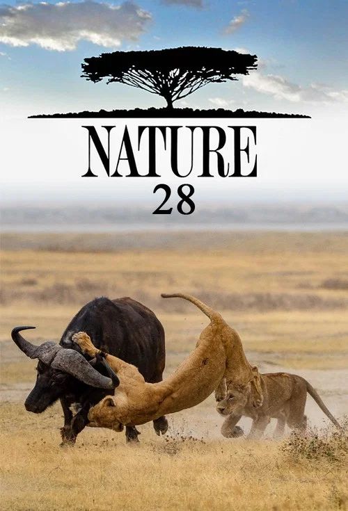 Nature: Temporada 28
