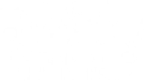 Campeonato de reposteros: fiestas