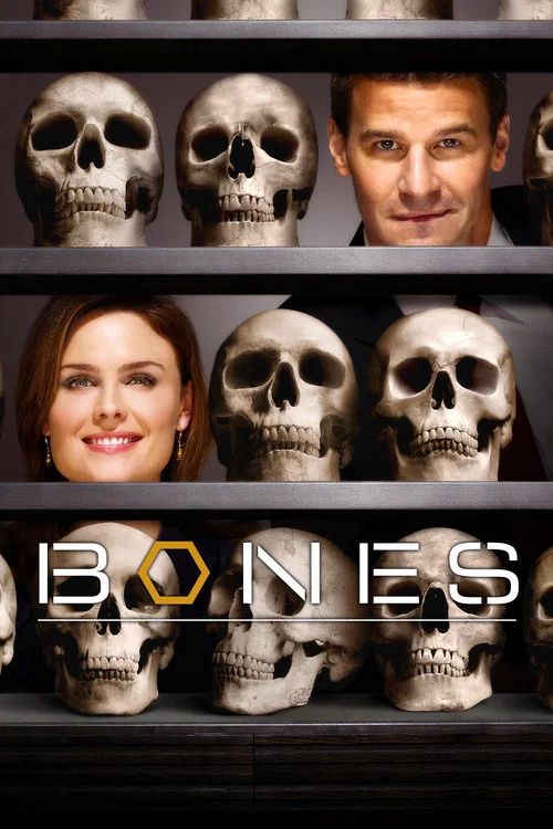 Bones: Temporada 4