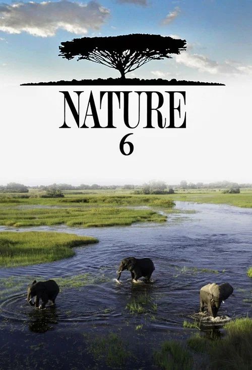 Nature: Temporada 6