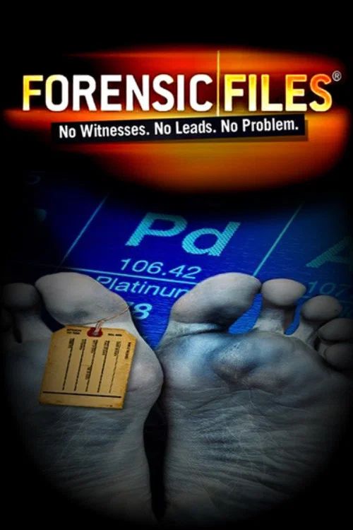 Crímenes imperfectos: Temporada 5