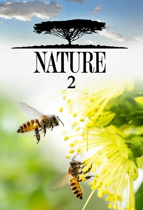 Nature: Temporada 2