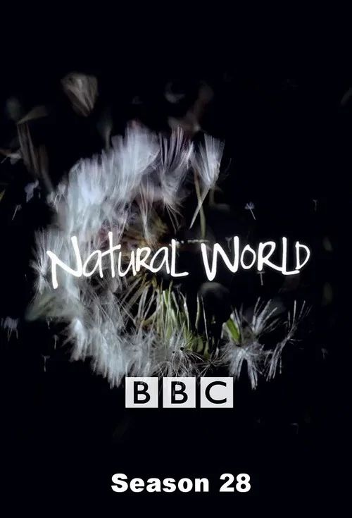 Natural World: Temporada 28