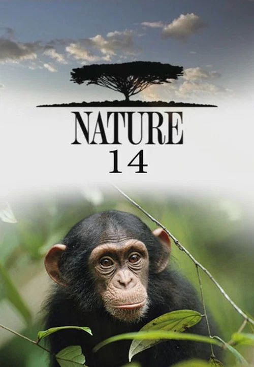 Nature: Temporada 14