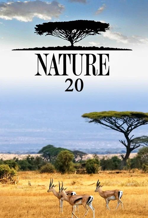 Nature: Temporada 20