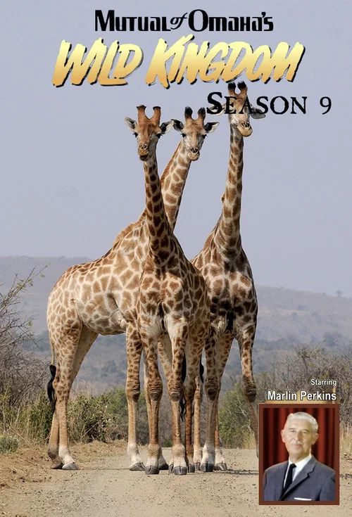 Mutual of Omaha's Wild Kingdom: Temporada 9