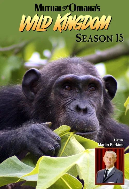 Mutual of Omaha's Wild Kingdom: Temporada 15