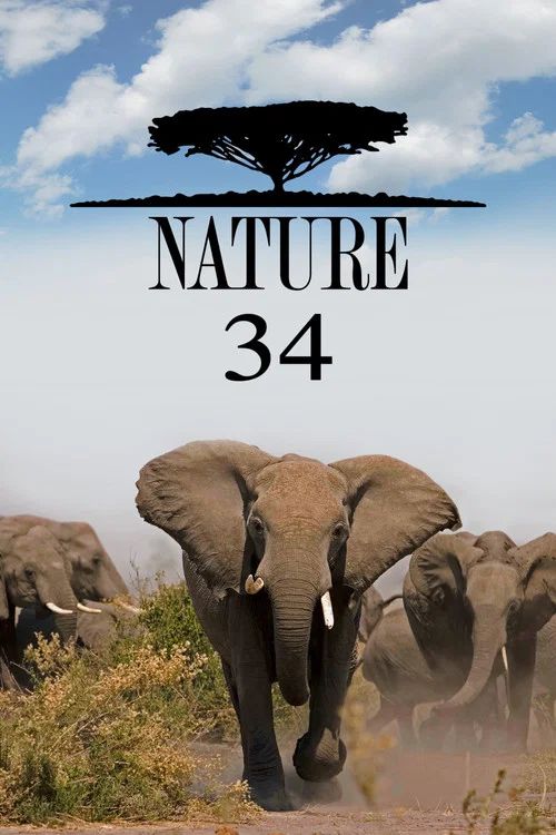 Nature: Temporada 34