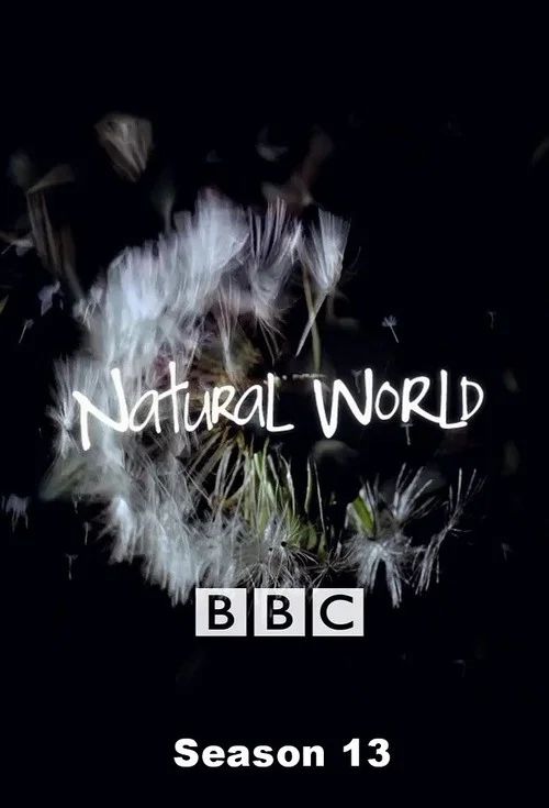 Natural World: Temporada 13