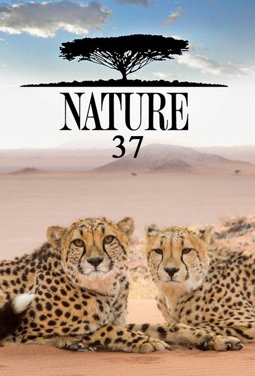 Nature: Temporada 37