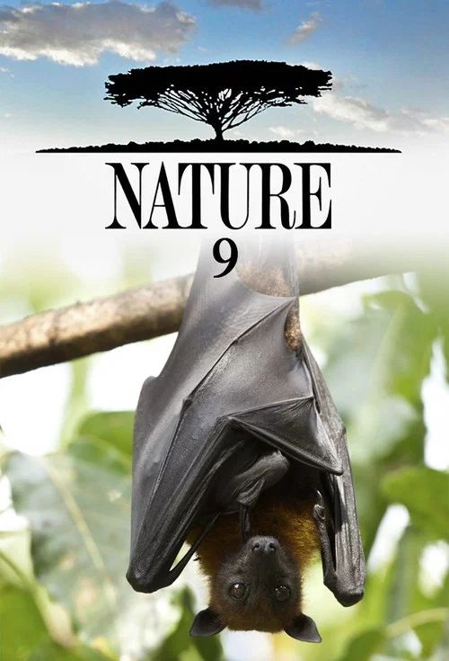 Nature: Temporada 9