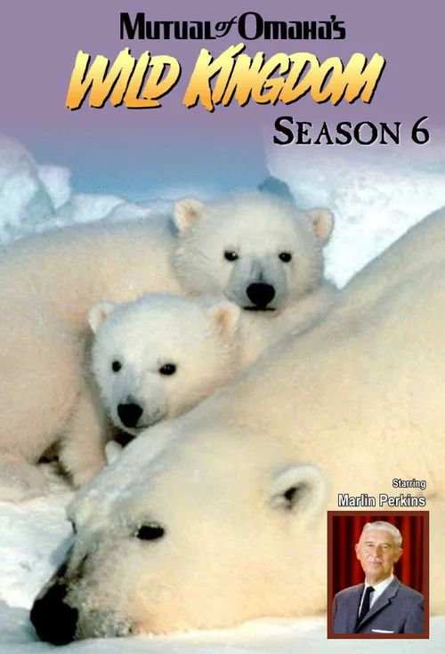 Mutual of Omaha's Wild Kingdom: Temporada 6