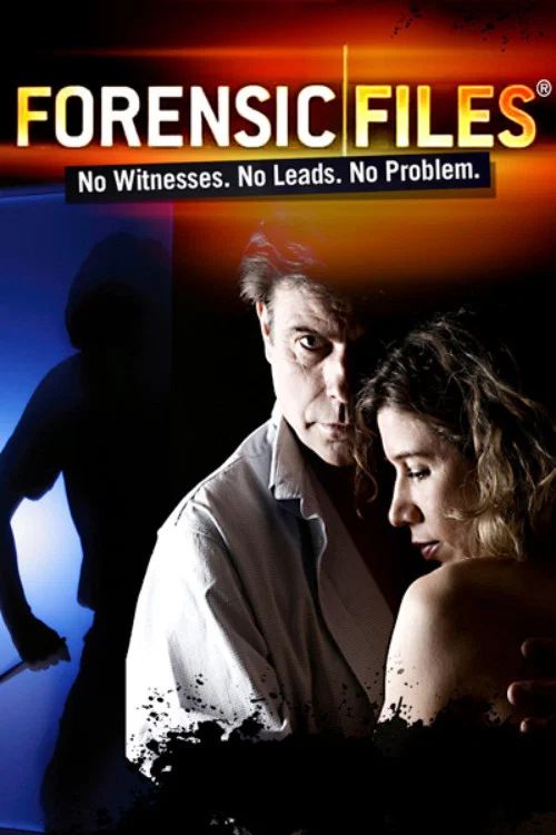 Crímenes imperfectos: Temporada 10