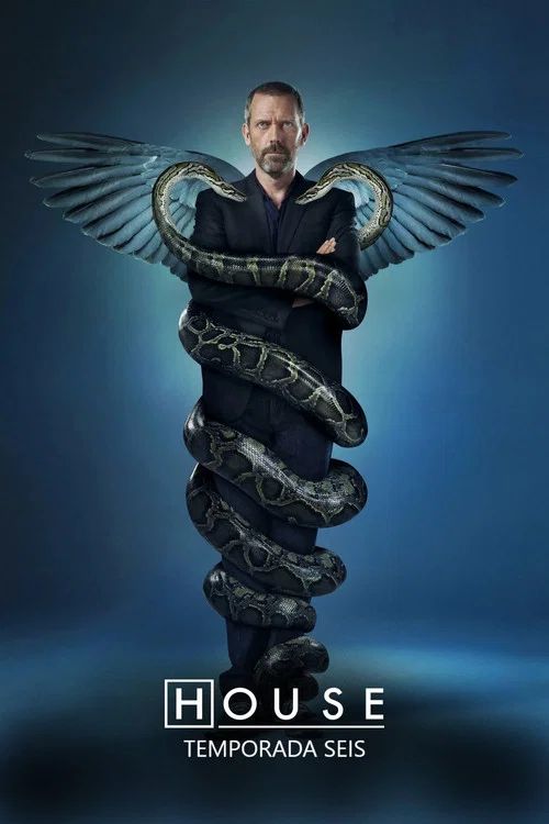 Dr. House: Temporada 6