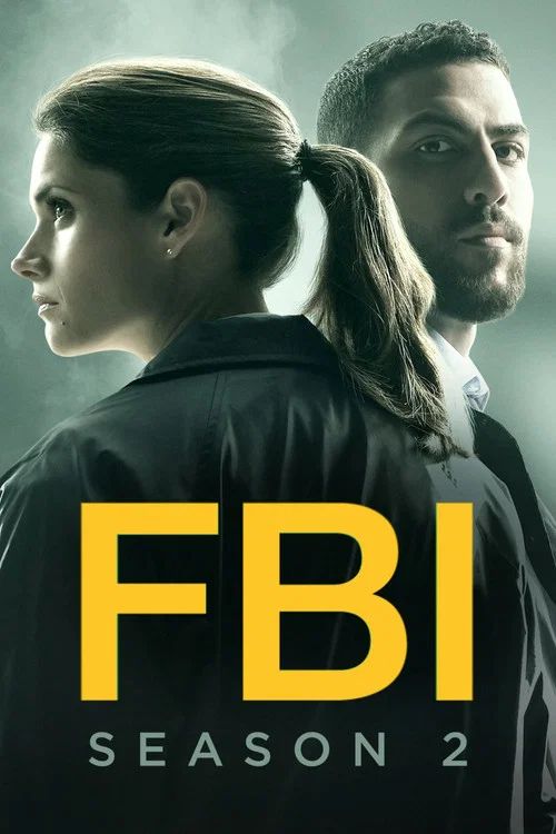 F.B.I.: Temporada 2