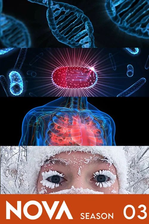 Nova: Temporada 3