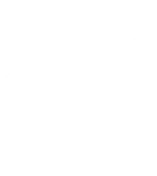 Lo dejamos acá