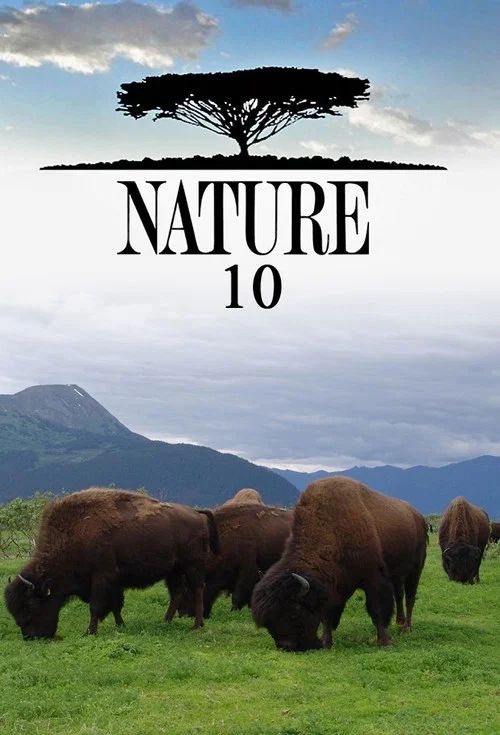Nature: Temporada 10