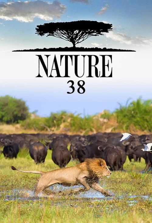 Nature: Temporada 38