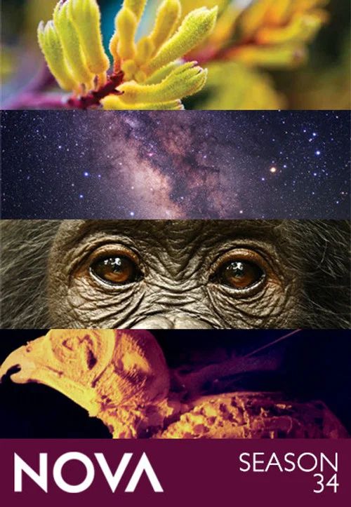Nova: Temporada 34