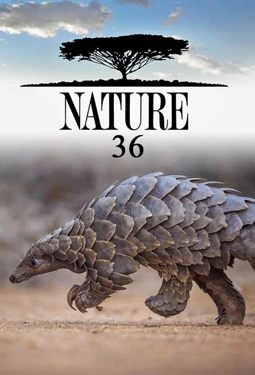 Nature: Temporada 36