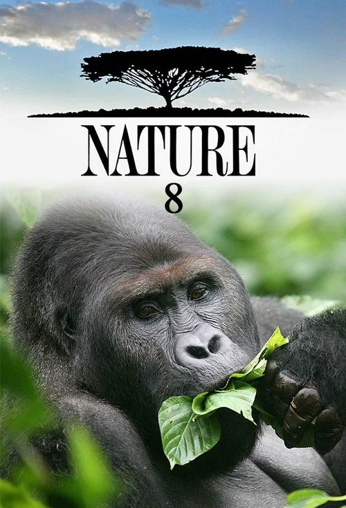 Nature: Temporada 8