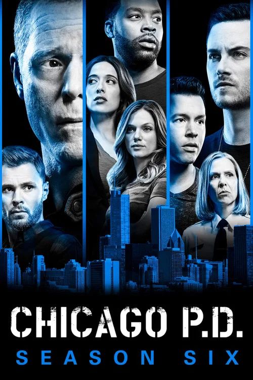Policías de Chicago: Temporada 6
