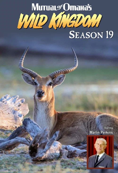 Mutual of Omaha's Wild Kingdom: Temporada 19
