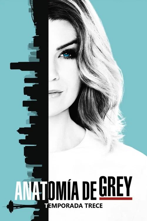 Anatomía según Grey: Temporada 13