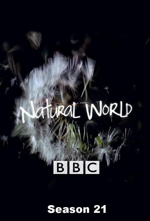 Natural World: Temporada 21