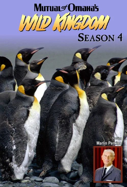 Mutual of Omaha's Wild Kingdom: Temporada 4