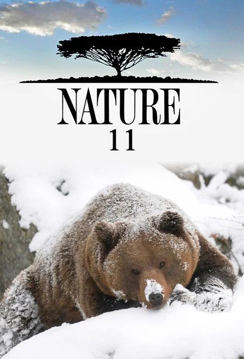 Nature: Temporada 11
