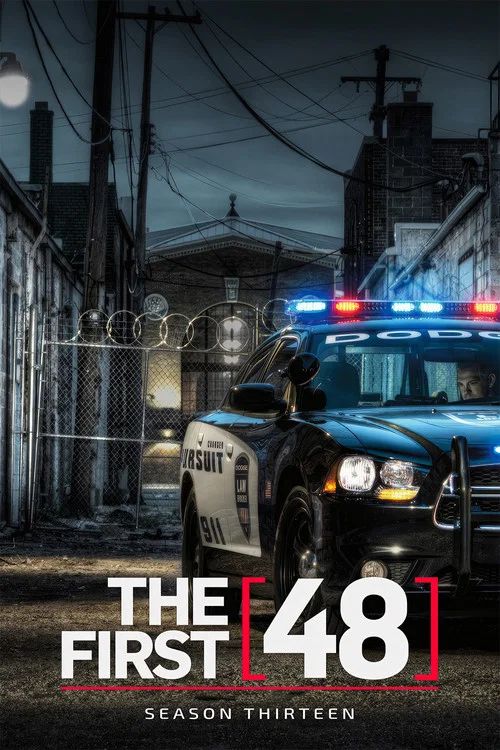 The First 48: Temporada 13