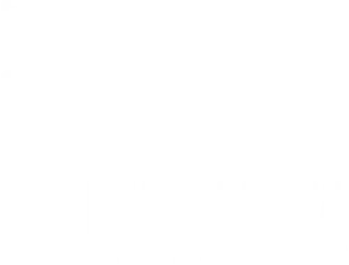 El brutalista