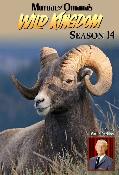 Mutual of Omaha's Wild Kingdom: Temporada 14