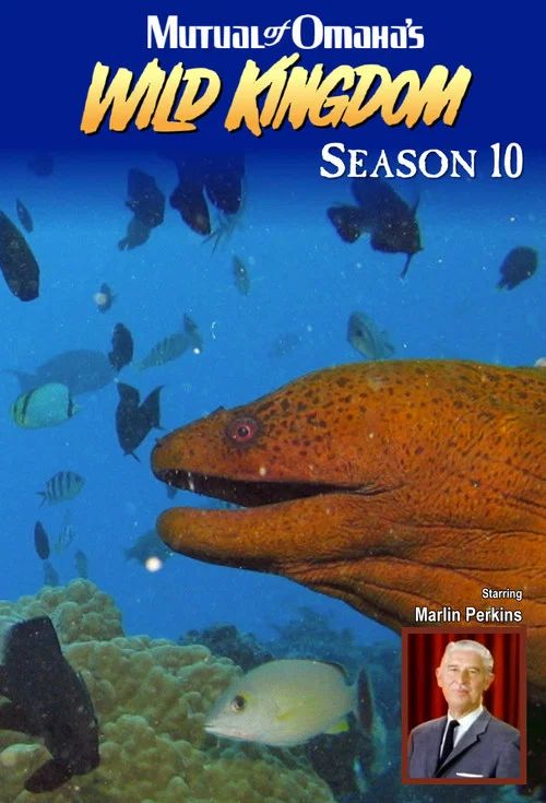 Mutual of Omaha's Wild Kingdom: Temporada 10