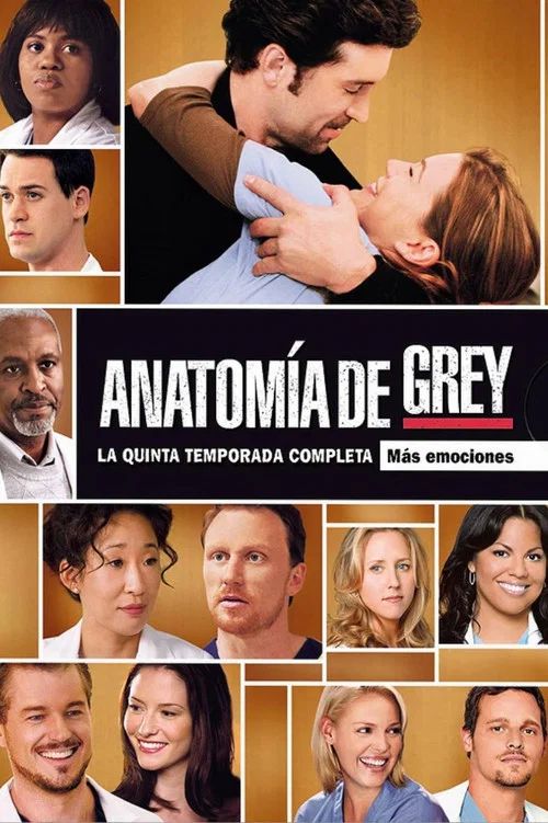 Anatomía según Grey: Temporada 5