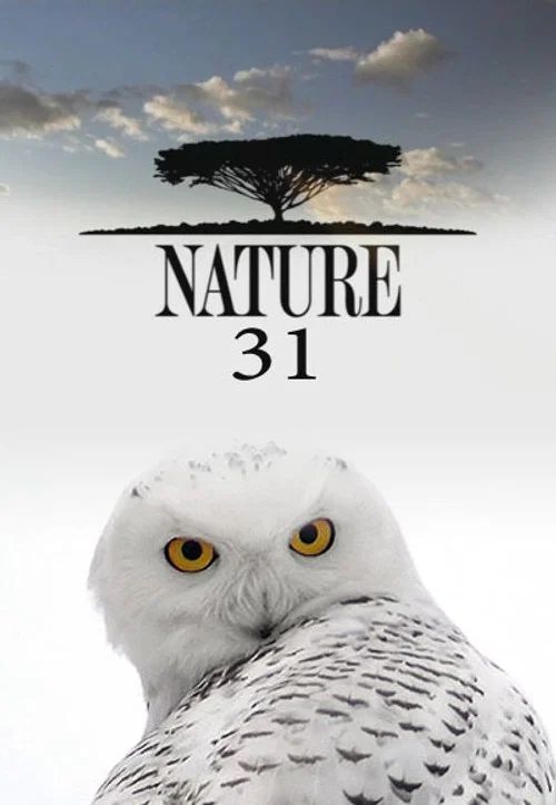 Nature: Temporada 31