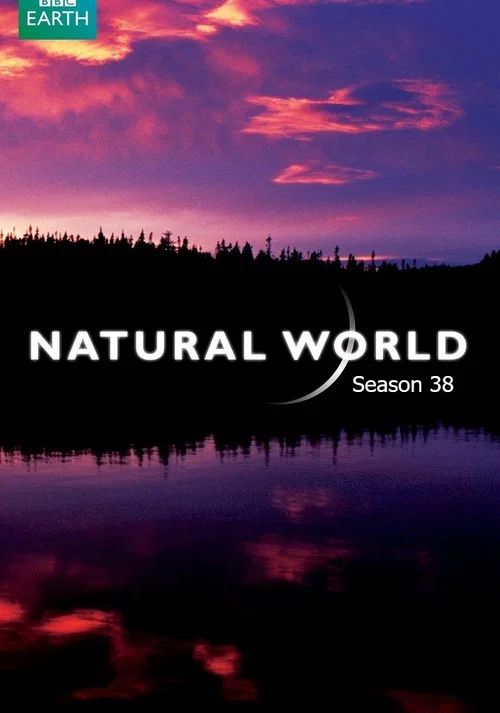 Natural World: Temporada 38