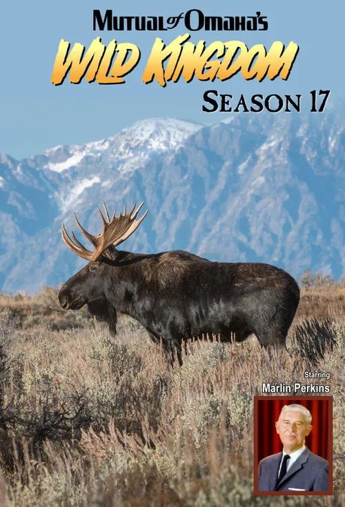 Mutual of Omaha's Wild Kingdom: Temporada 17