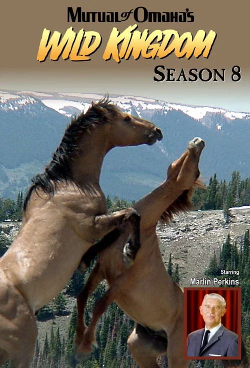 Mutual of Omaha's Wild Kingdom: Temporada 8