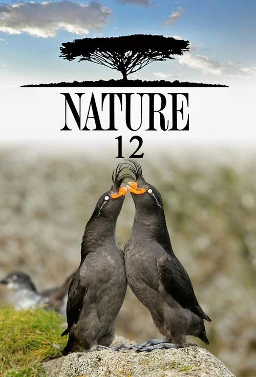 Nature: Temporada 12