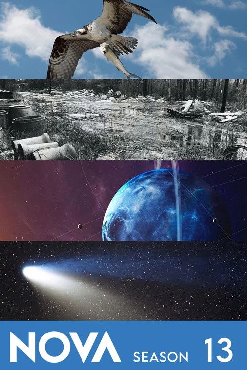Nova: Temporada 13