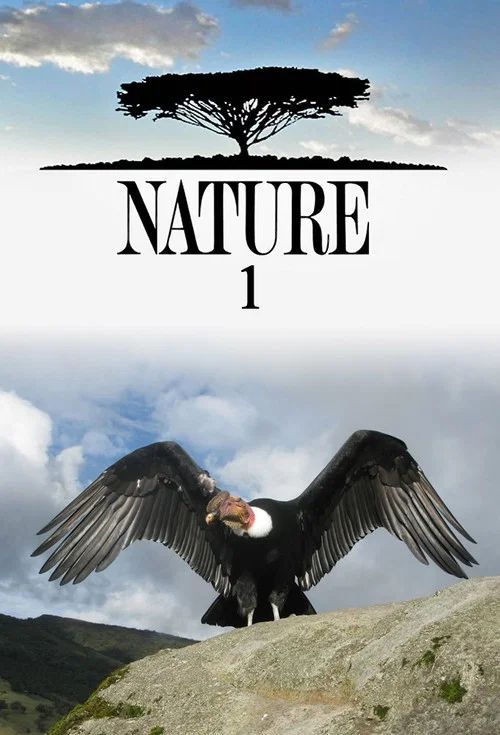 Nature: Temporada 1