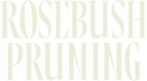 Rosebush Pruning